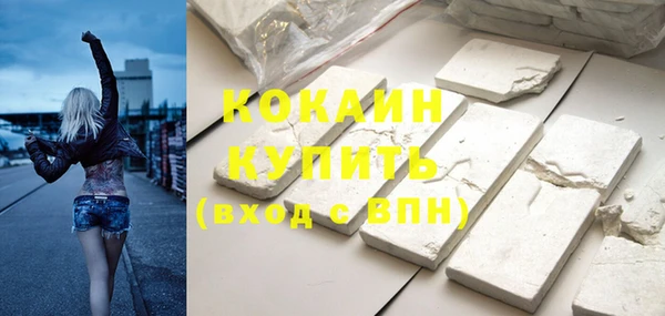молекула духа Кулебаки