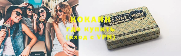 ПСИЛОЦИБИНОВЫЕ ГРИБЫ Кукмор