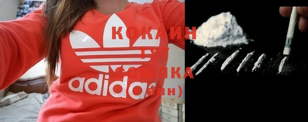 молекула духа Кулебаки