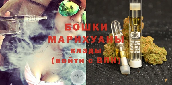 ПСИЛОЦИБИНОВЫЕ ГРИБЫ Кукмор