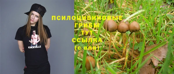 молекула духа Кулебаки
