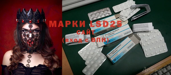 молекула духа Кулебаки