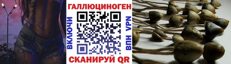 Купить где  Набережные Челны  Галлюциногенные грибы прущие грибы 